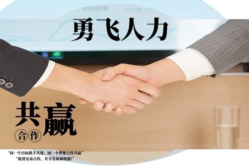 七臺河中介服務(wù)聯(lián)系方式及常見服務(wù)范圍